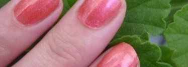 Sally Hansen Nail Prisms