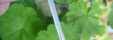 Мои помощники в нелегком деле под названием маникюр - знакомимся с Sally Hansen