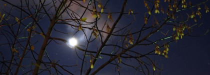 Темные мира сего