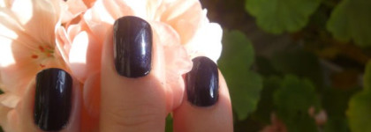 Темные мира сего