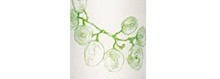 Caudalie в моей косметичке-продолжение знакомства