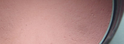 Хит для Белоснежки-Nature Republic Shine Blossom Rose Blusher 03 Pink rose