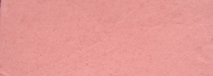 The Balm Frat Boy shadow/blush