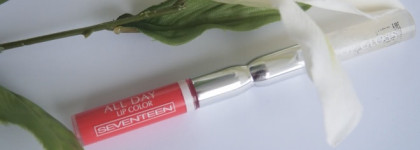 Укрощение строптивой Seventeen ALL DAY Lip Color 17