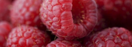 Когда деревья были большими и лекарством от всего был малиновый чай