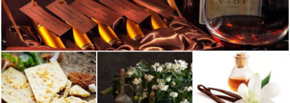 Вариации на тему шоколада от Serge Dumonten