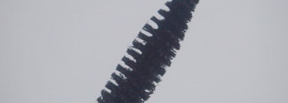 Две туши Smashbox