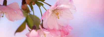 Японский уход за волнистыми волосами