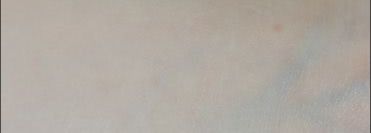 Рассыпчатая пудра Laura Mercier Loose Setting Powder. Оттенок "Translucent". Для завершения макияжа