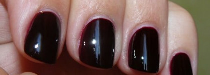 Новый любимец, винный Orly Naughty