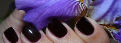 Новый любимец, винный Orly Naughty