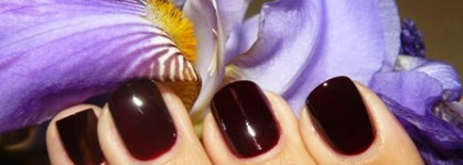 Новый любимец, винный Orly Naughty