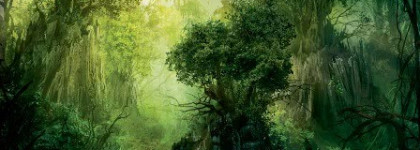 Загадочный лес с лаком Orly Enchanted Forest