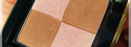 Yves Saint Laurent Variation Blush #019 Venetian Rose