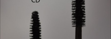 Diva's lashes от Pupа #1 vs Diorshow black out #099