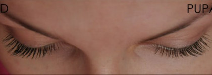Diva's lashes от Pupа #1 vs Diorshow black out #099