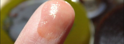 Шоколадотерапия с бальзамом для губ Milk & Chocolate от Fresh Line