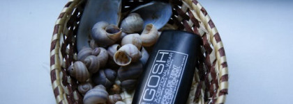 Тест-драйв Gosh