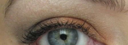 День пятый (и снова внеплановый) посвящен Shiseido Luminizing Satin Eye Color Trio оттенок OR302