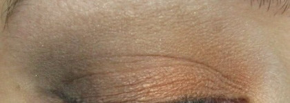 День пятый (и снова внеплановый) посвящен Shiseido Luminizing Satin Eye Color Trio оттенок OR302