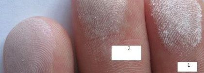 Guerlain Ecrin 6 Couleurs Precious Eyeshadows, Rue de rivoli