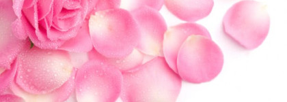 Нежное дуновение весны с Be Delicious Fresh Blossom от Dkny