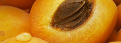 Нежное дуновение весны с Be Delicious Fresh Blossom от Dkny