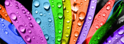 Продолжение лакоманьячного безумия