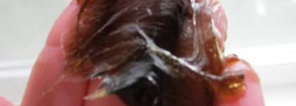 Обзор средств для волос