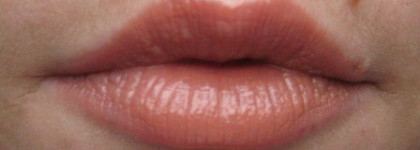 Помада из осенней коллекции Rouge Dior Nude 319 Trench