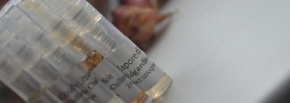 Edgardio Chilini. Ароматы сводящие с ума