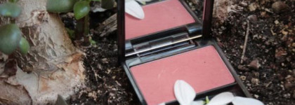 Shiseido или 6 японцев моей косметички