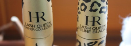 Птица против Кошки