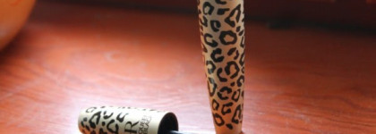 Птица против Кошки