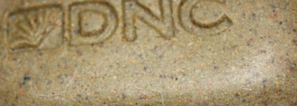 DNC Мыло для лица очищающее для жирной кожи