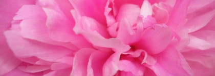 Dkny Be Delicious Candy Apples Sweet Strawberry