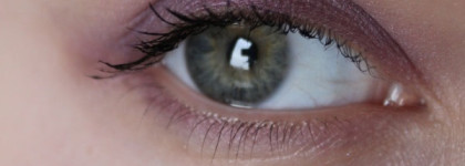 Shiseido Luminizing Satin Eye Color Trio VI308 "Bouquet"