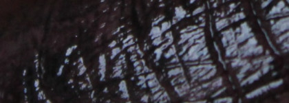 Kiko Luscious Cream Lipstick в оттенке №523