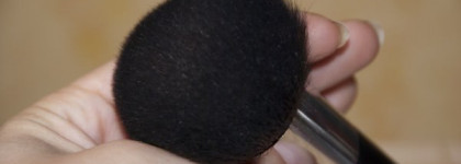 Мои ежедневные "труженицы" - кисти Irisk, Sigma и безымяшки