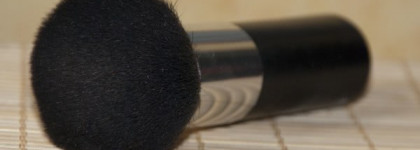 Мои ежедневные "труженицы" - кисти Irisk, Sigma и безымяшки