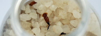 Соль для ванны "Ромашка" Alpstories Bath Salt Chamomile