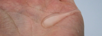 Сладкая парочка от Alpstories: гель для душа и молочко для тела Ginkgo