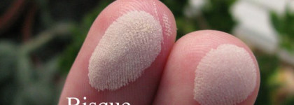 Jane Iredale - Deluxe Starter Kit. Fair Claire