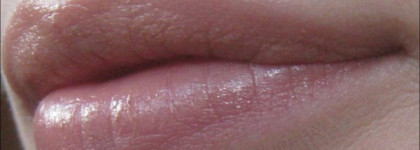 Коллекция nude-помад: Maybelline, YSL, EL, Bourjois, Lancome