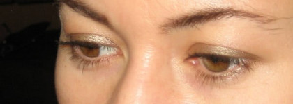 И снова о Shiseido shimmering cream eye color BE 709 sable