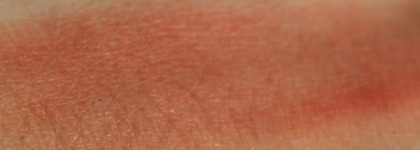 Любимые румяна Essence «Breaking dawn — part 2» blush #01 Renesmee Red