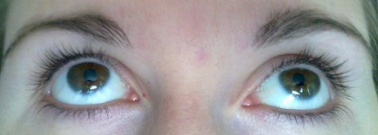 Мое сокровище - тушь Sublime De Chanel