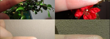 Мои любимые универсальные тени- Chanel Ombre Essentielle 76 Liberty