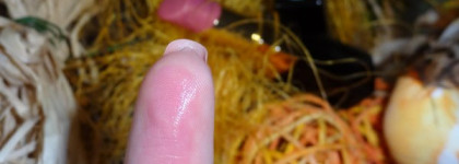 Chanel Rouge  Coco Shine 57 Aventure