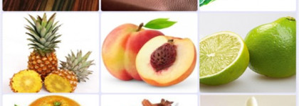 Parfum Must de Cartier от Cartier (1981)